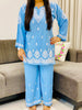 Trisha Rayon Chikankari Handwork Women's Co-ord Set - Powder Blue